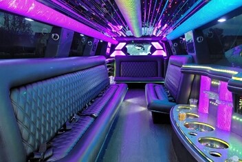 Johnson City Limo Interior